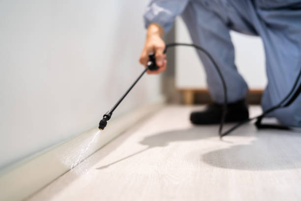 Licensed Pest Control service in Hart, MI - Show Me Pest Control